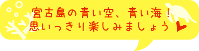 お魚とサンゴの天国！こんな綺麗な海に潜れます