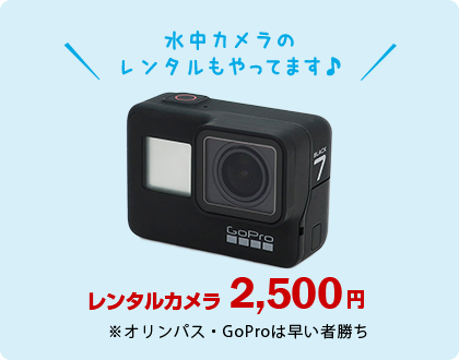 水中カメラのレンタルをやってます♪レンタルカメラ2000円★SDカードはご自身で準備してください